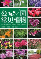 公园常见植物在线阅读