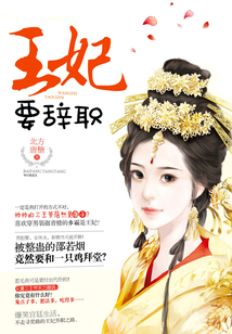 王妃要辞职