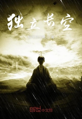 独立长空在线阅读