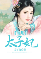御用太子妃在線閱讀