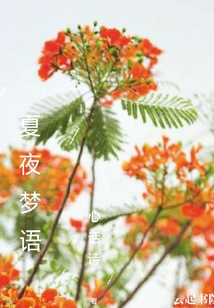 夏夜夢語