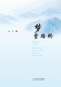 梦萦路桥
