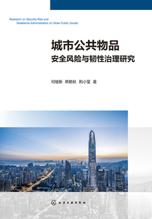 城市公共物品安全風(fēng)險與韌性治理研究