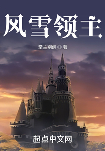 风雪领主 cover