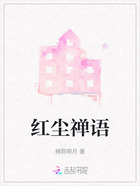 红尘禅语在线阅读