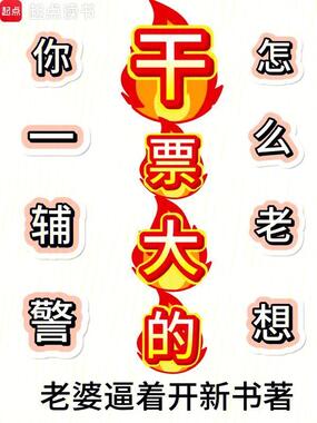 你一辅警，怎么老想干票大的？在线阅读