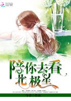 陪你去看北極星在線閱讀