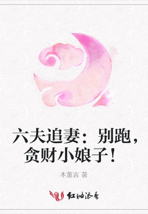 六夫追妻:別跑,貪財(cái)小娘子!