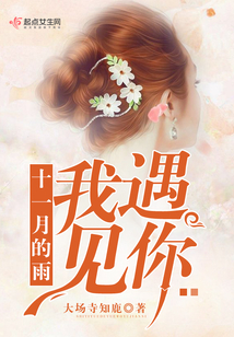 十一月的雨我遇見你