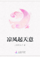 凉风起天意在线阅读
