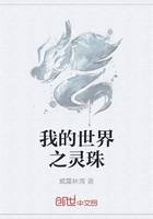 我的世界之靈珠在線閱讀