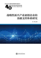 战略性新兴产业初创企业的金融支持体系研究