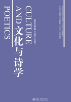 文化與詩(shī)學(xué)2013年第2輯（總第十七輯）在線閱讀