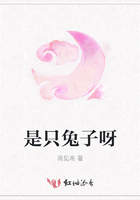 是只兔子呀在線閱讀