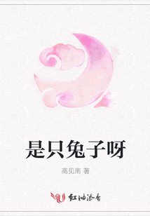 是只兔子呀