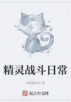 精灵战斗日常