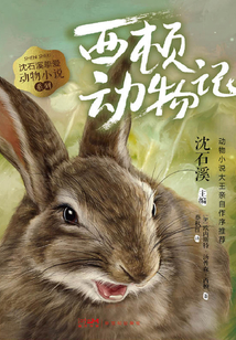 沈石溪摯愛(ài)動(dòng)物小說(shuō)系列6：西頓動(dòng)物記