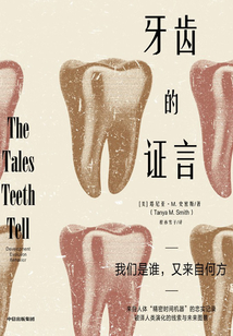 牙齒的證言