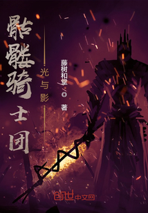 骷髏騎士團光與影