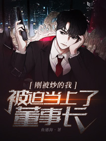 剛被炒的我，被迫當上了董事長