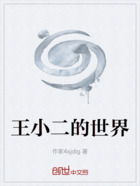 王小二的世界在線閱讀