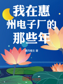 我在惠州电子厂的那些年