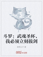 斗罗:武魂圣杯,我必须立刻拔剑在线阅读