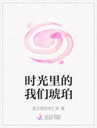 时光里的我们琥珀在线阅读