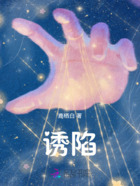 诱陷在线阅读