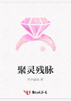 聚靈殘脈在線閱讀