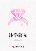 沐浴暮光在线阅读