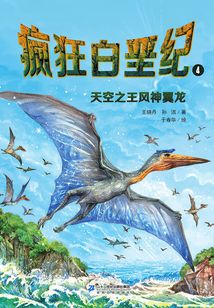 瘋狂白惡紀：天空之王風神翼龍