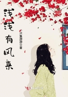 浅浅有风来