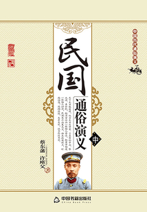 民國通俗演義(中)