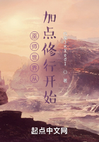 巫师世界从加点修行开始