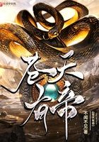 苍天有帝在线阅读