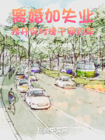 離婚加失業(yè)，我開保時捷干網(wǎng)約車