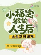 小福宝被偷人生后，成全京城团宠在线阅读