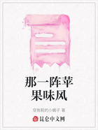 那一阵苹果味风在线阅读