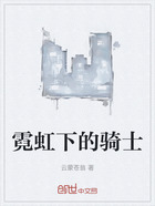 霓虹下的騎士在線閱讀