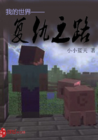 我的世界——复仇之路在线阅读
