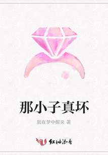 那小子真坏