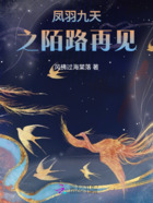鳳羽九天之陌路再見在線閱讀