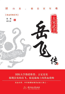 大宋武圣：岳飛傳