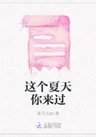 這個夏天你來過在線閱讀