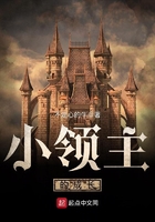小领主的成长在线阅读