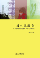 核电 雾霾 你：从福岛核事故细说能源、环保与工业安全在线阅读