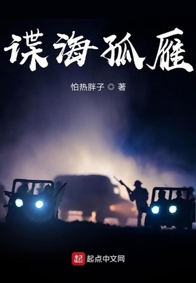 谍海孤雁在线阅读