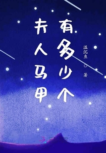 夫人馬甲有多少個