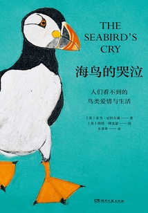 海鸟的哭泣